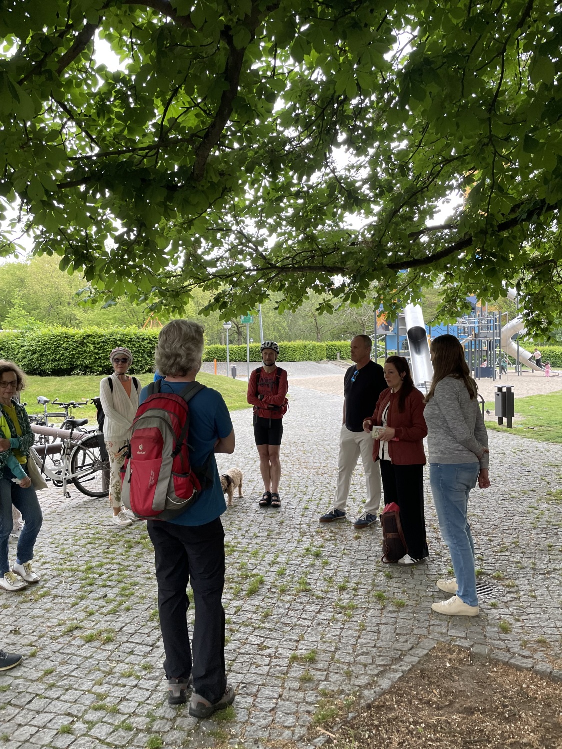 Im Märkischen Viertel betreibt die GESOBAU gemeinsam mit dem Face-Familienzentrum mehrere Nachbarschaftsgärten. Die bepflanzten Hoch-Beete in den Innenhöfen fördern nicht nur die Artenvielfalt, sondern verbessern auch das Stadtklima. Gleichzeitig bieten die Gärten Raum für Begegnung und gemeinschaftliches Engagement. So verbinden sie ökologische Vorteile mit sozialem Miteinander im urbanen Raum.