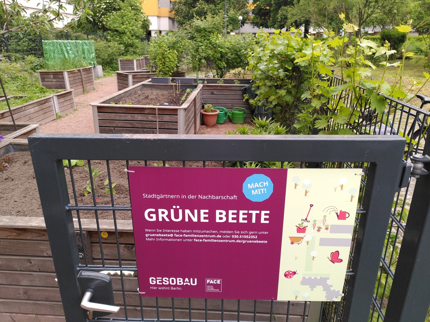 Gleichzeitig bieten die Gärten Raum für Begegnung und gemeinschaftliches Engagement. So verbinden sie ökologische Vorteile mit sozialem Miteinander im urbanen Raum.