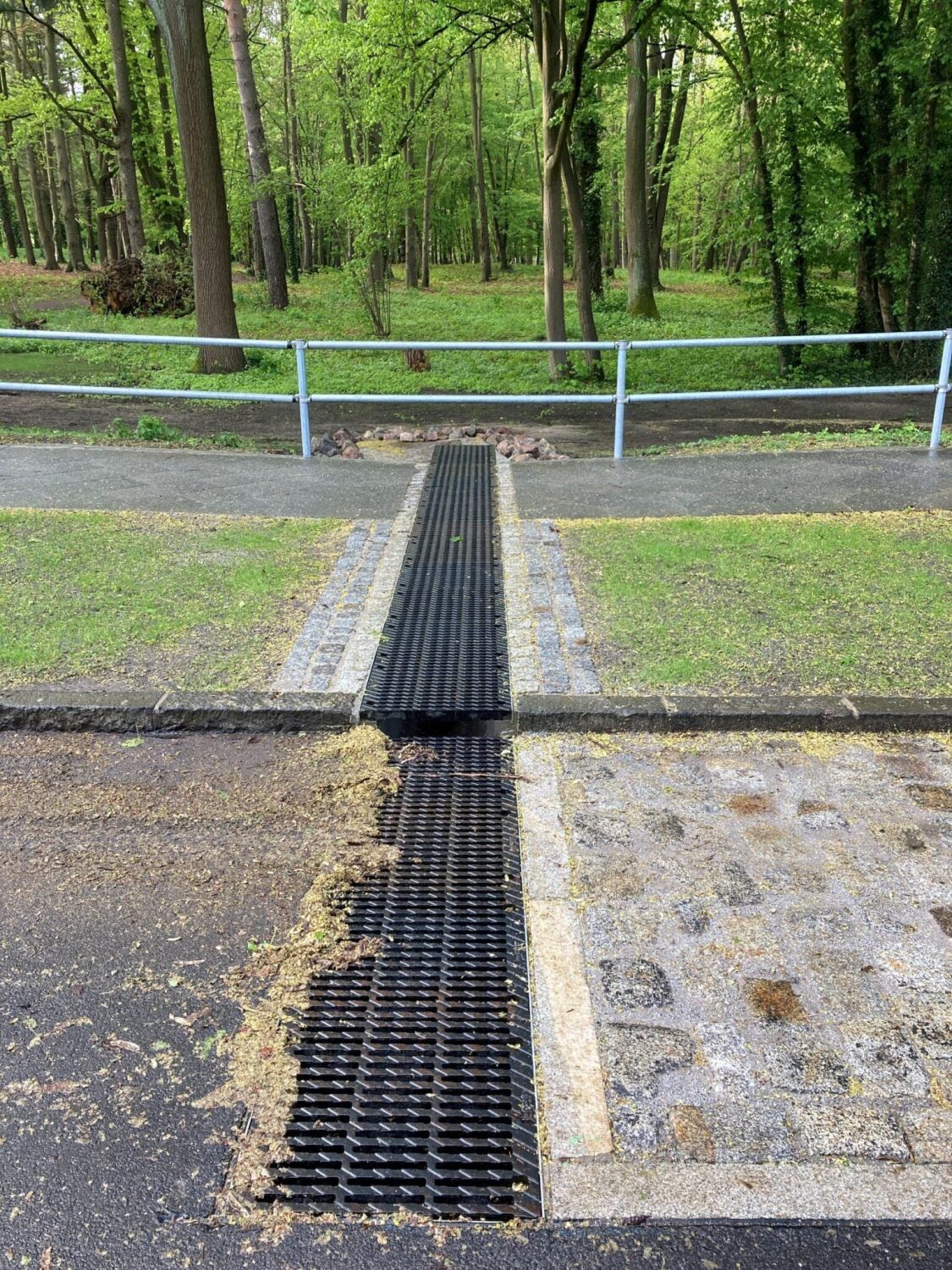 Die Kastenrinnen verlaufen unter dem Gehweg und dem Grünstreifen hindurch. Parkseitig fließt das Regenwasser über jeweils gepflasterte Ausläufe in die Vegetationsfläche.
