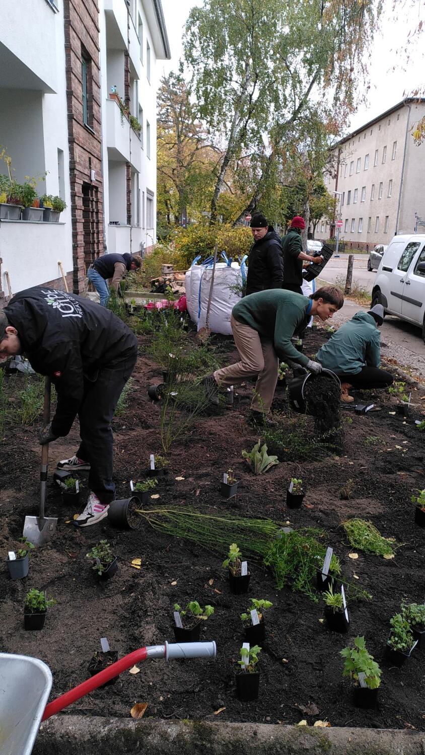 Unterschützerinnen und Unterstützer arbeiten fleißig mit Spaten, Eimern und Erde