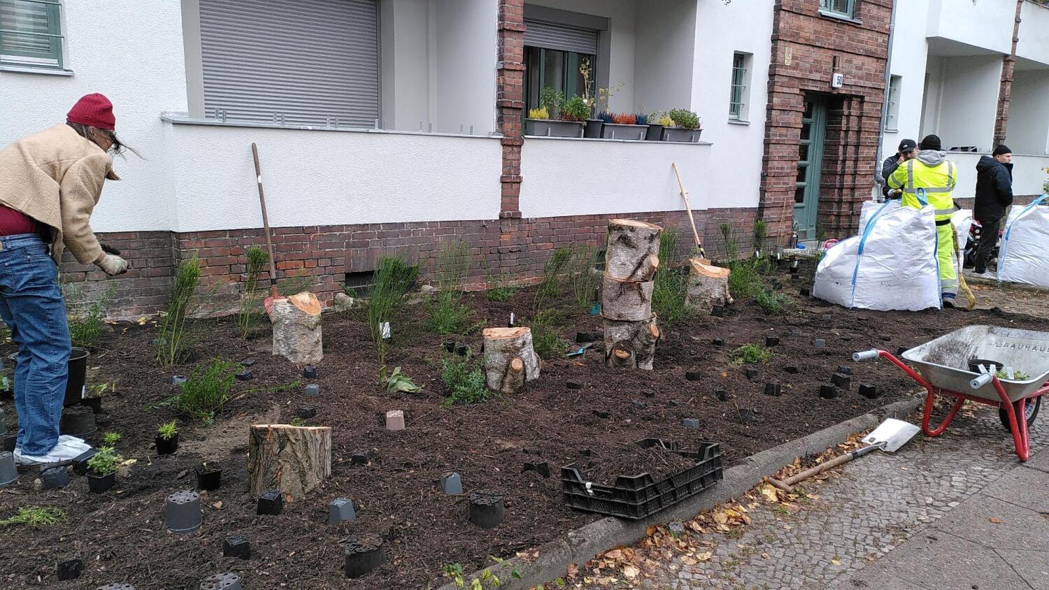 Ehrenamtliche helfen beim Pflanzen von Stauden und Sträuchern