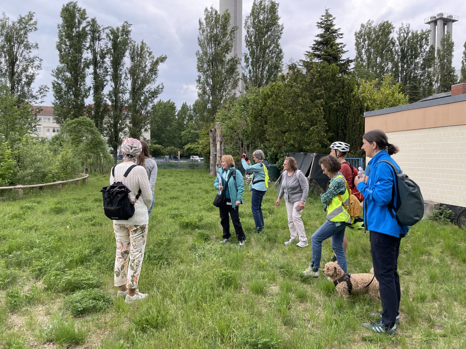 Direkt neben dem Biomasse-Heizkraftwerk im Märkischen Viertel wächst ein sogenannter Tiny Forest – ein dichter Miniwald auf nur 300 Quadratmetern. Rund 900 Setzlinge aus 28 heimischen Arten wurden hier nach der Methode des Botanikers Akira Miyawaki gepflanzt. Durch das enge Wachstum entsteht ein natürlicher Konkurrenzdruck, der die Entwicklung beschleunigt.