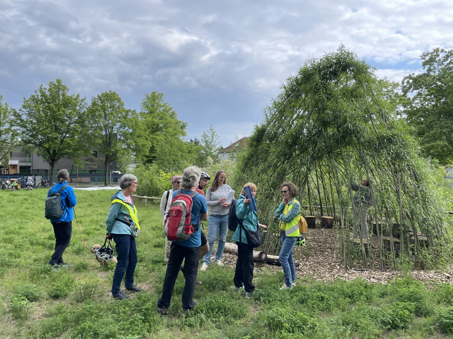 Teilnehmende begutachten auch den Weidendom als natürlichen Sonnen- und Hitzeschutz neben dem Tiny Forest. Der kleine Wald verbessert das Stadtklima, speichert CO₂, reduziert Lärm und schafft einen wertvollen Rückzugsort für Mensch und Tier.