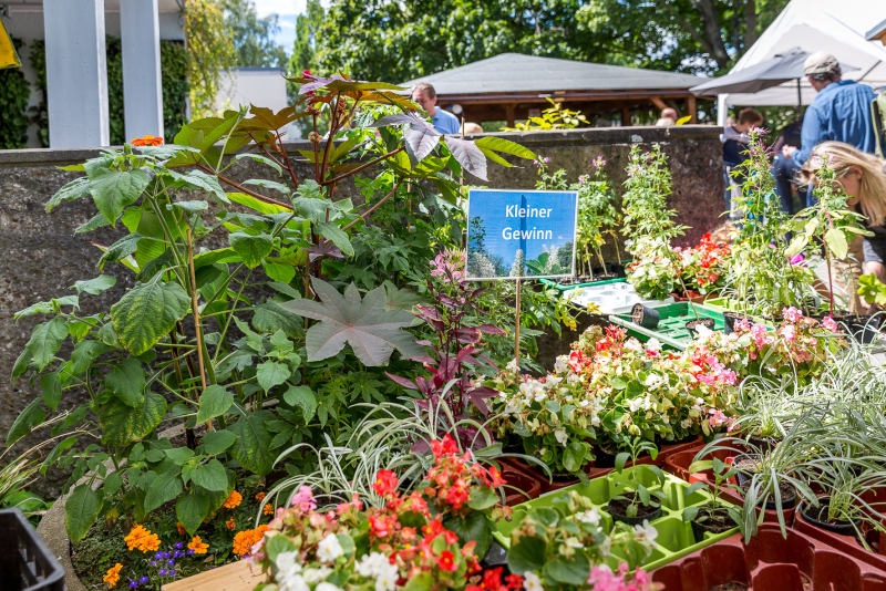 Sommerfest in der Gartenarbeitsschule
