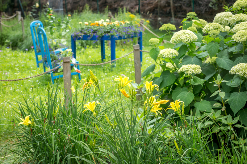 Kräuterschule im SUZ Spandau