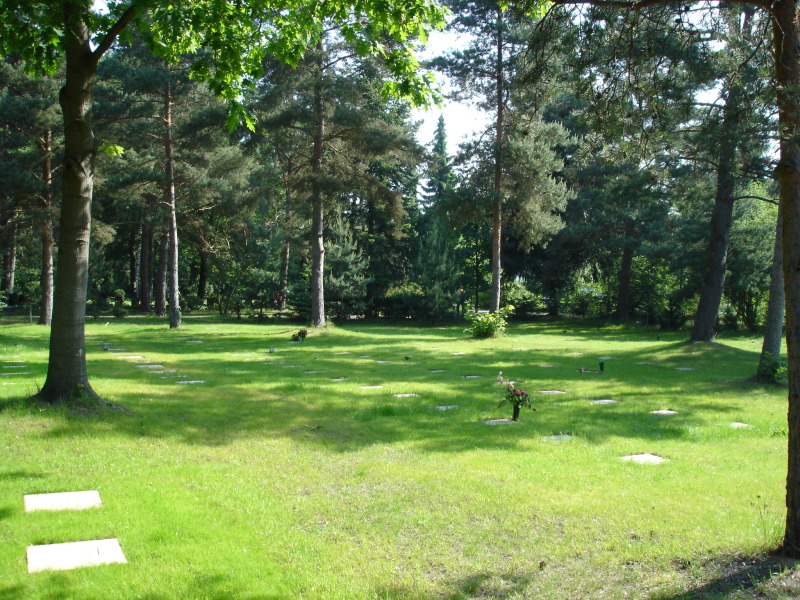 Ansicht einer Rasenfläche mit Grabstellen Stiftsfeld Friedhof In den Kisseln