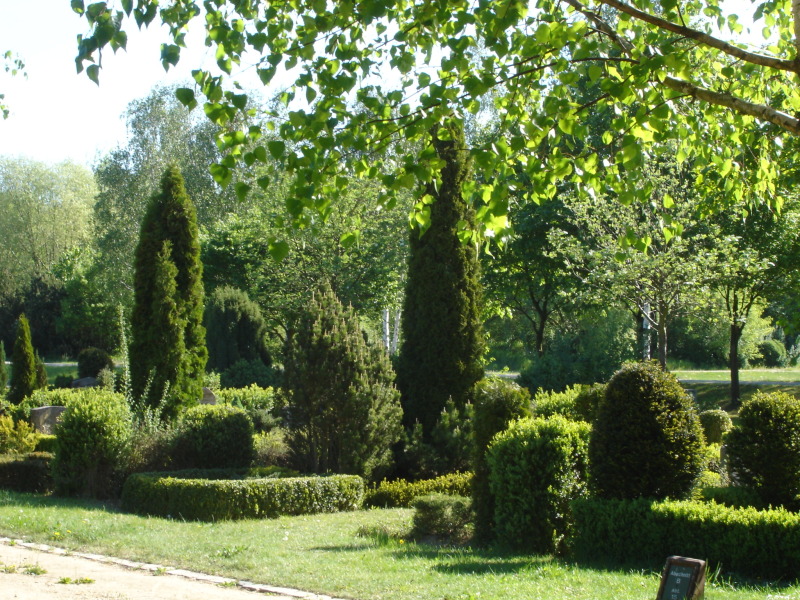 Ansicht von Gräbern, Landschaftsfriedhof Gatow