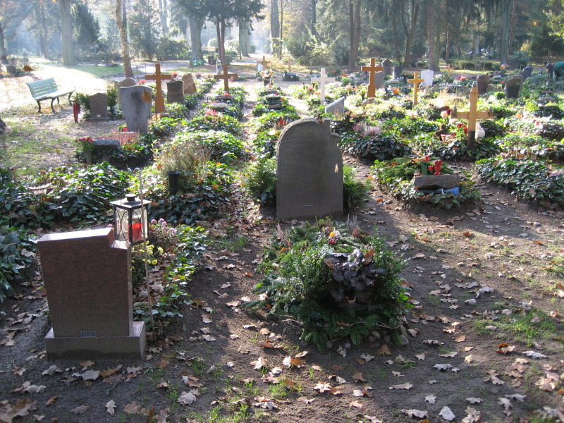 Rückansicht von u.a. mit Efeu bepflanzten Erdreihengrabstellen Friedhof In den Kisseln