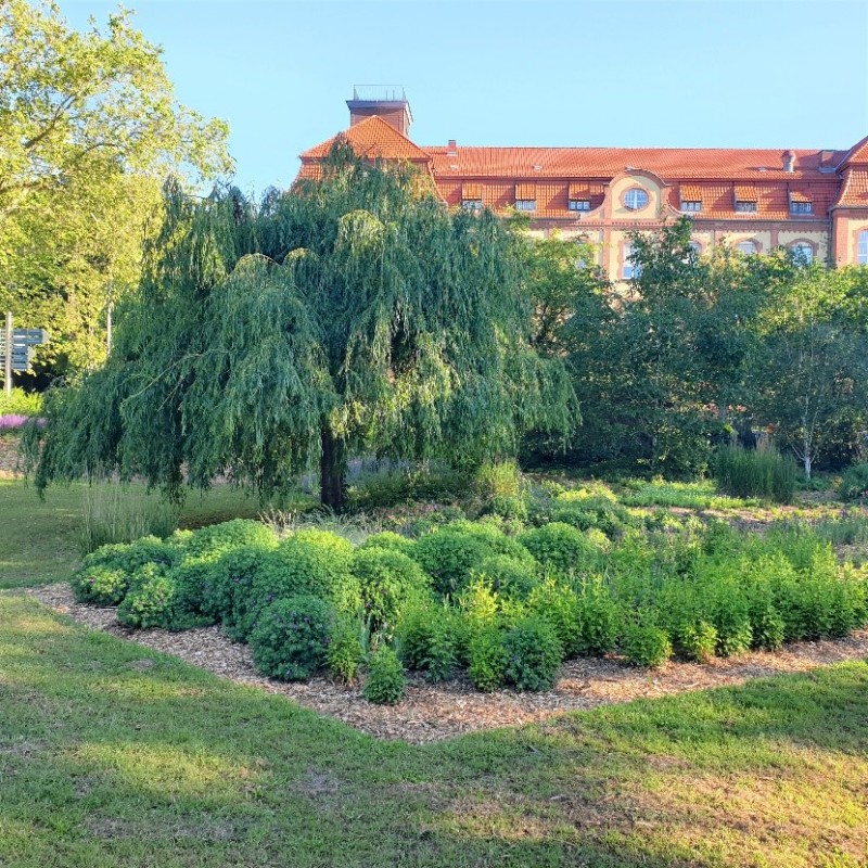 Neupflanzungen auf dem Jürgen-Fuchs-Platz in Dahlem