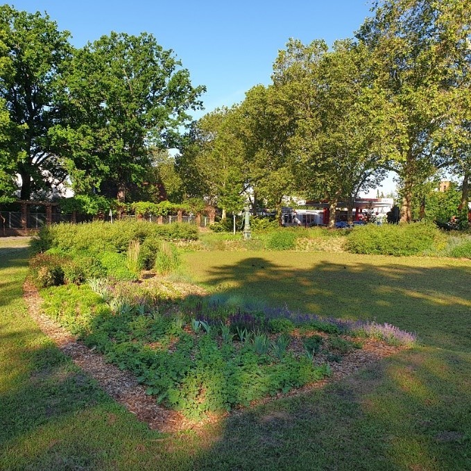 Neupflanzungen auf dem Jürgen-Fuchs-Platz in Dahlem