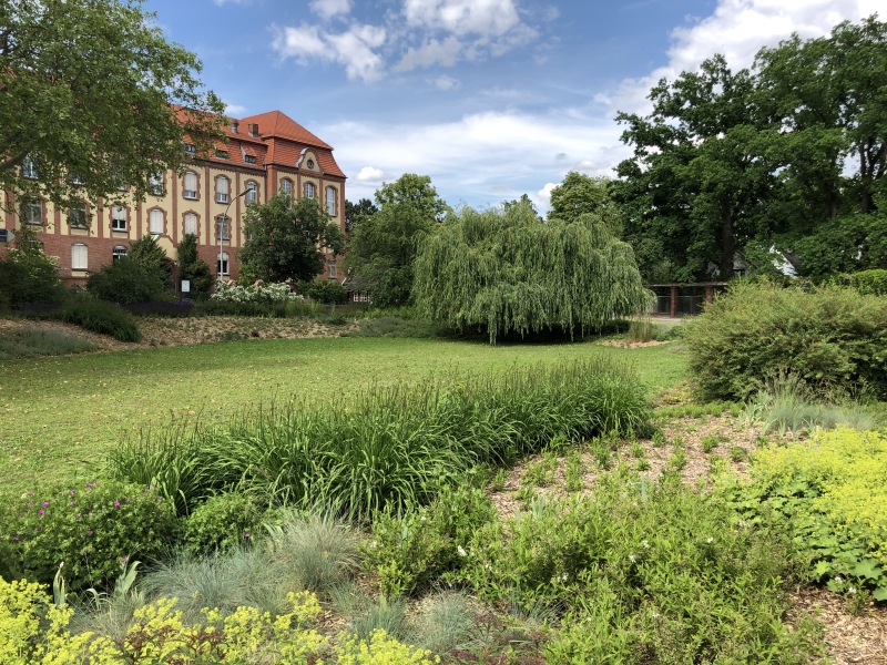 Neupflanzungen auf dem Jürgen-Fuchs-Platz in Dahlem