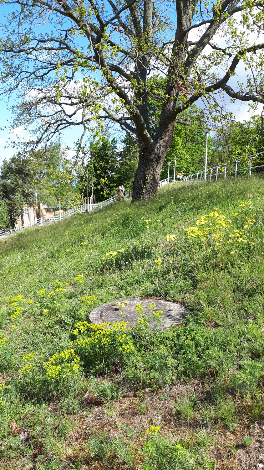 Hang am Strandbad Wannsee