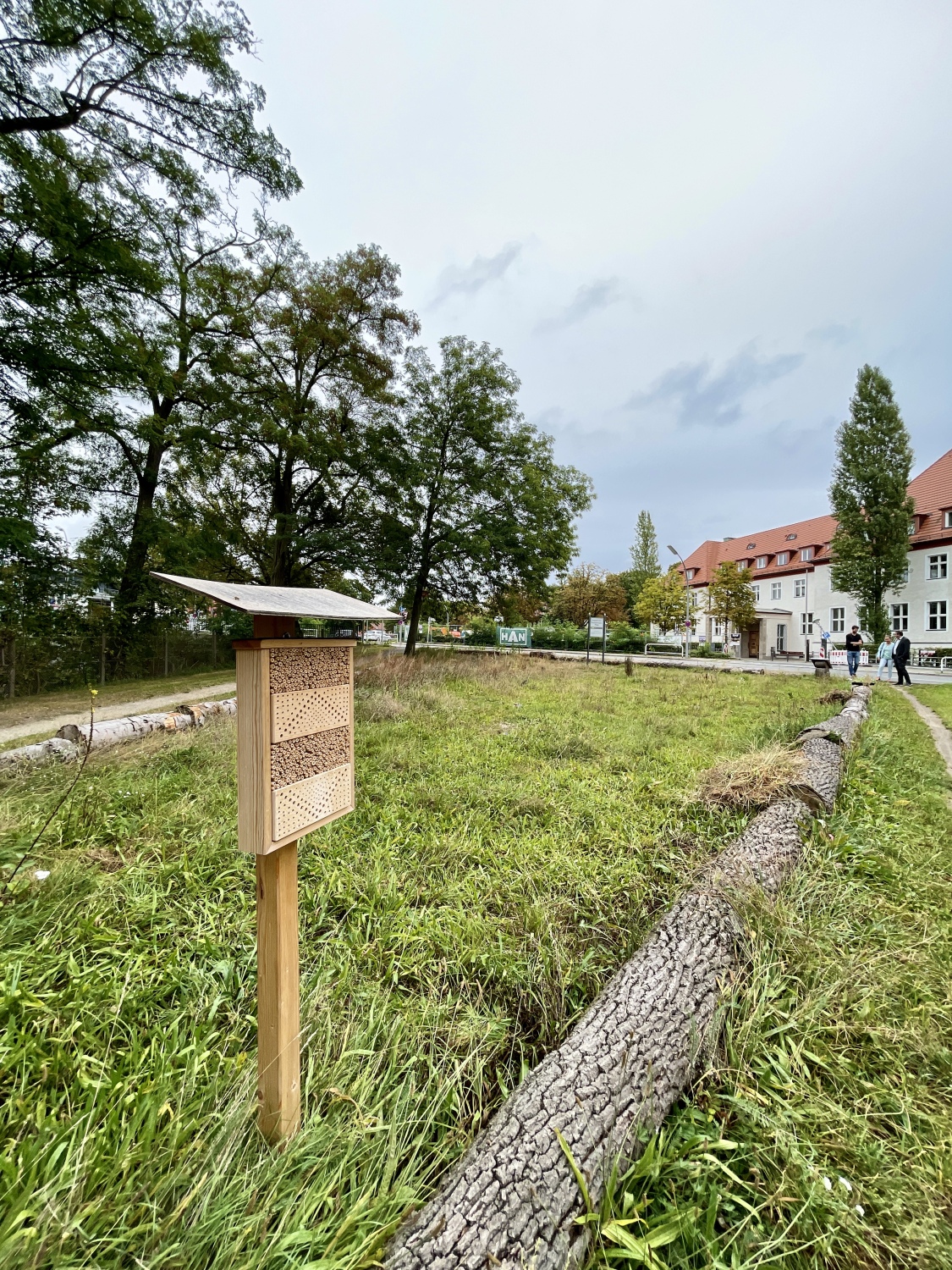 Eindrücke vom "Blühenden Dreieck" auf dem August-von-Wassermann-Platz