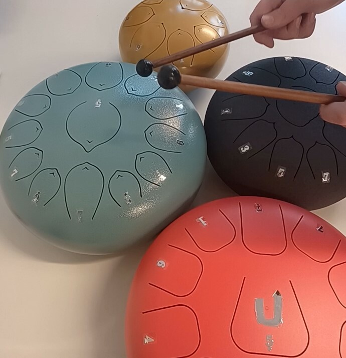 Tongue Steel Drums in der Ingeborg-Drewitz-Bibliothek