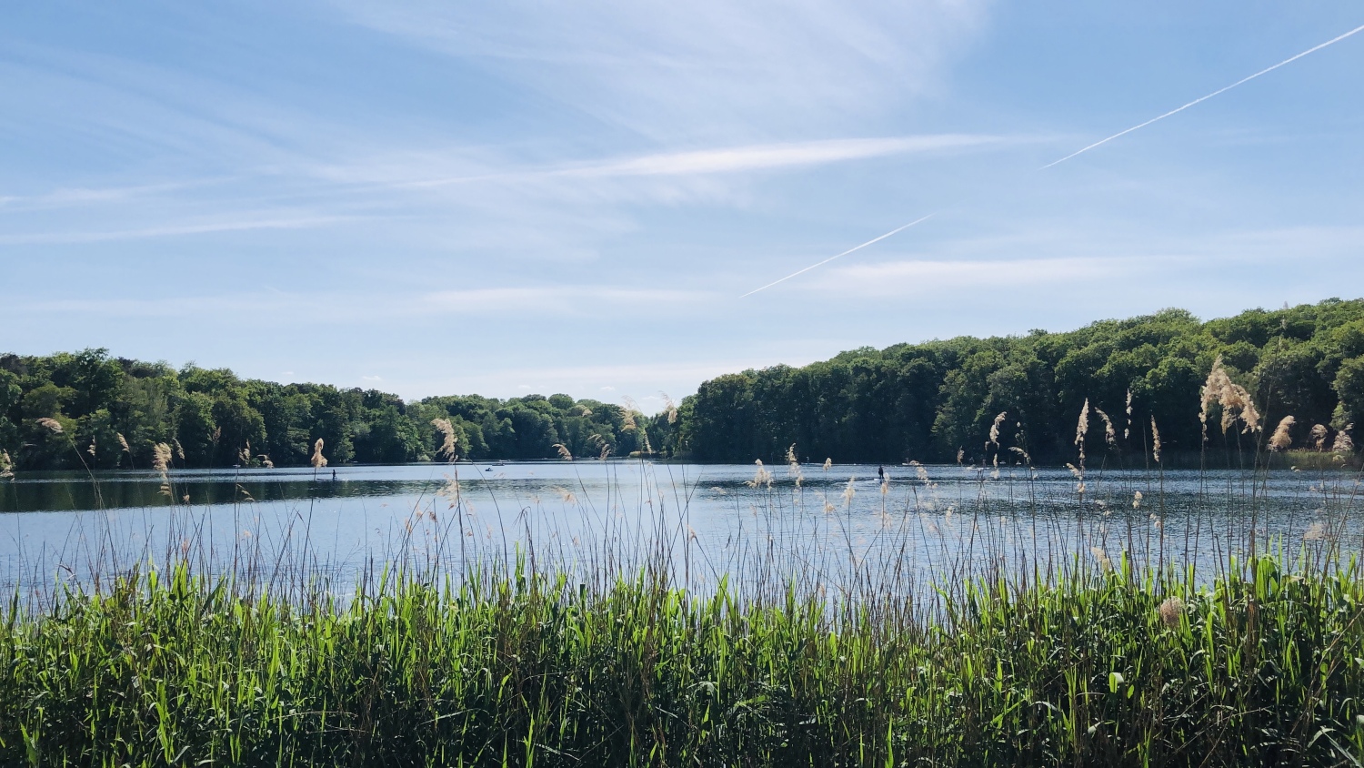Frühlingsidylle am Schlachtensee