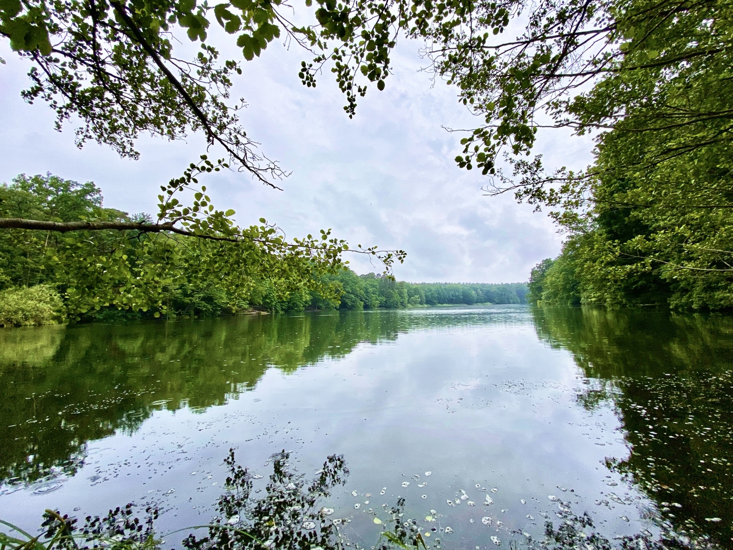 Spiegelglattes Wasser an der Krumme Lanke: Ein Ort der Ruhe