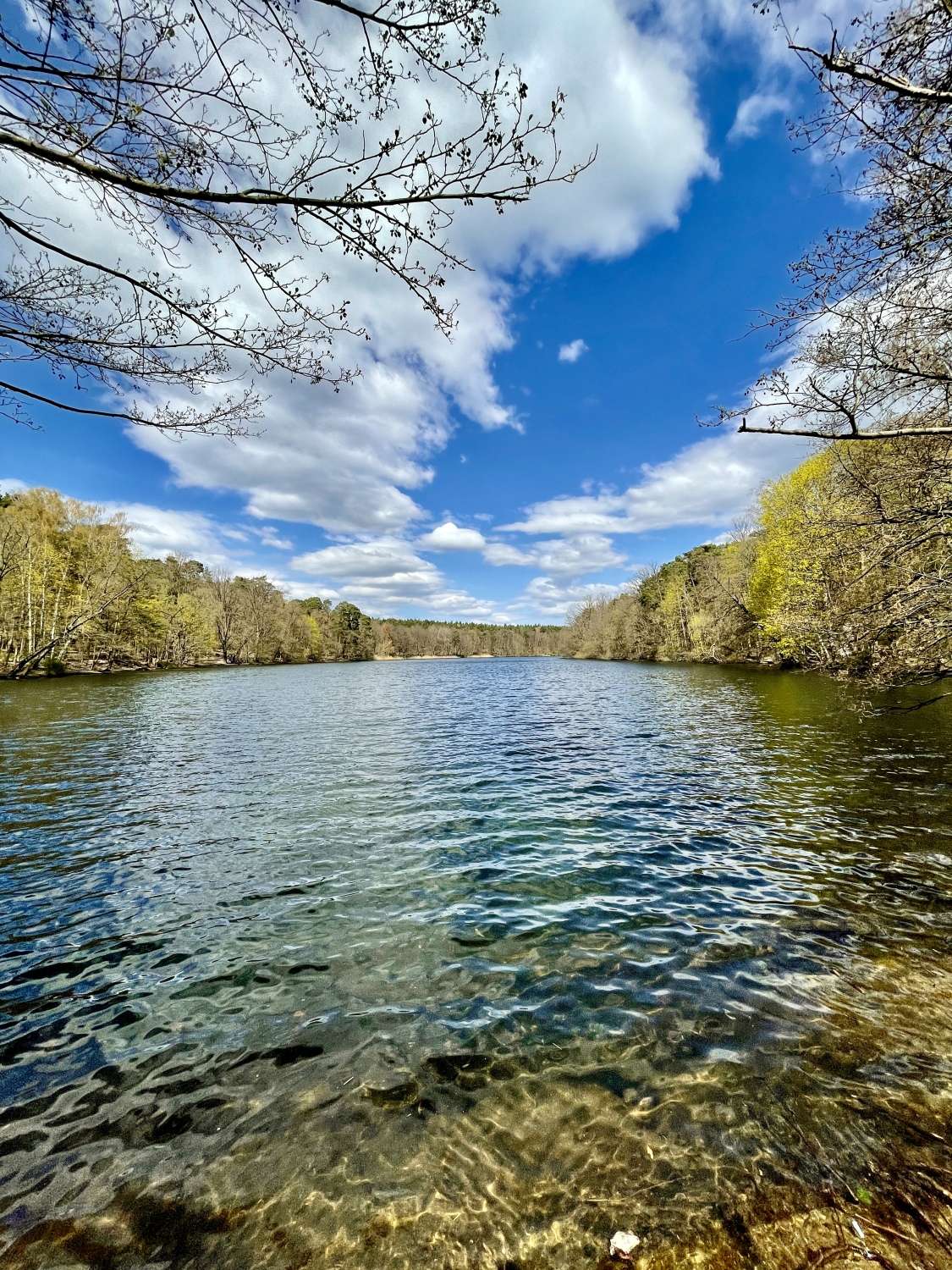 Krumme Lanke im April