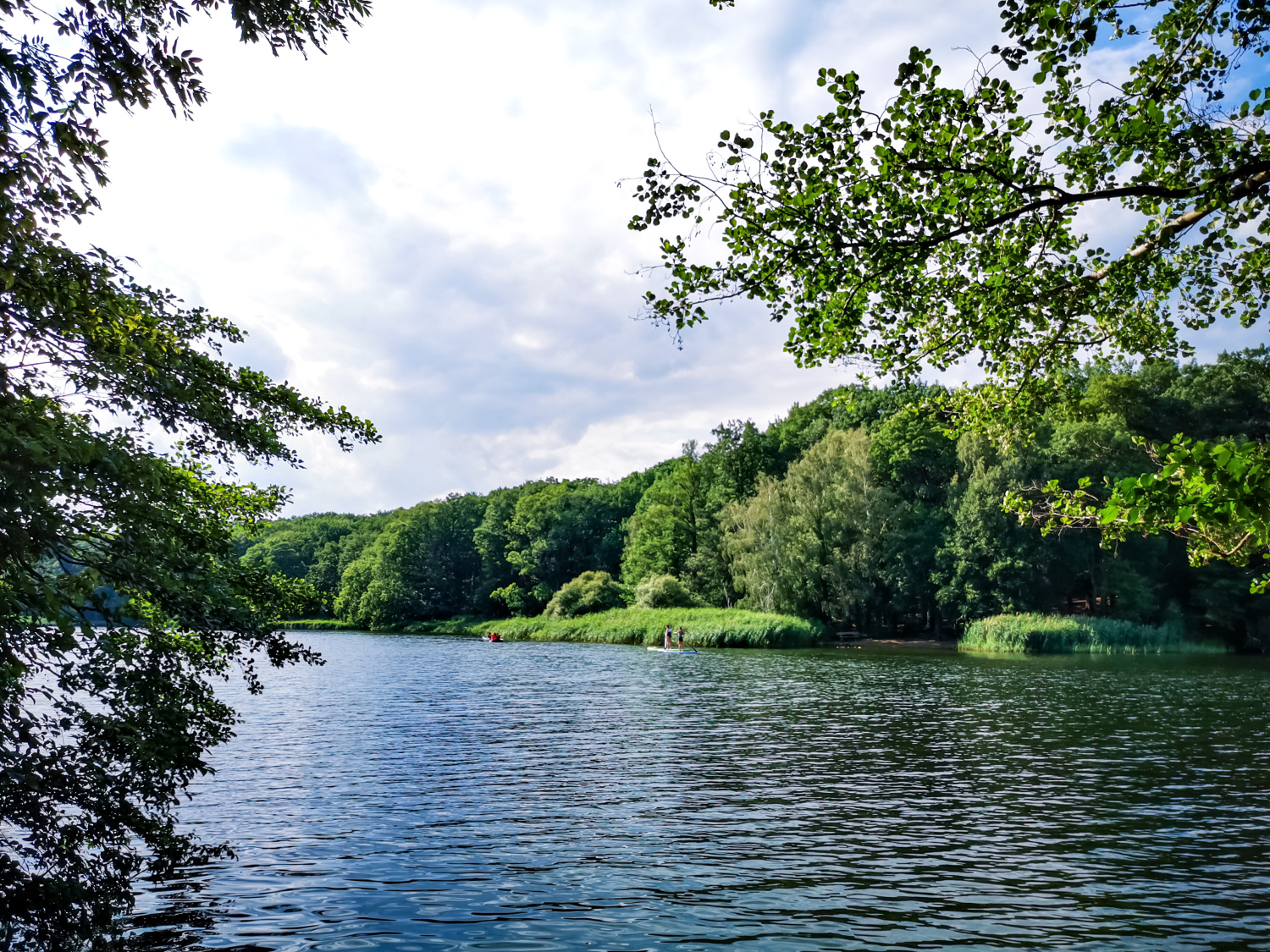 Schlachtensee: Ein Tag am Wasser inmitten grüner Landschaft