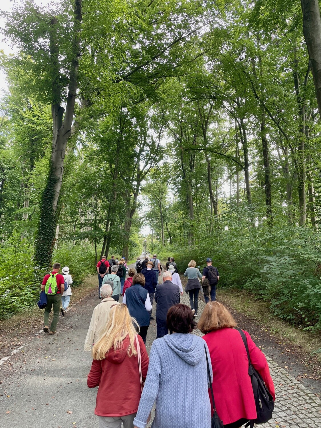 Gemeindewäldchen Zehlendorf