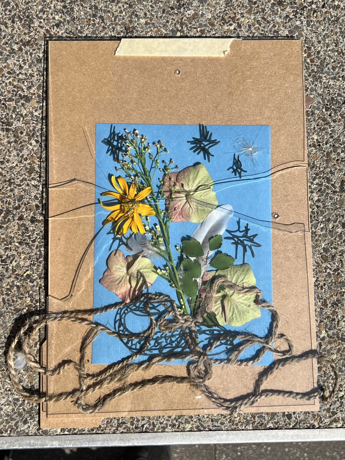 Druckbeispiel 3 für Cyanotypie