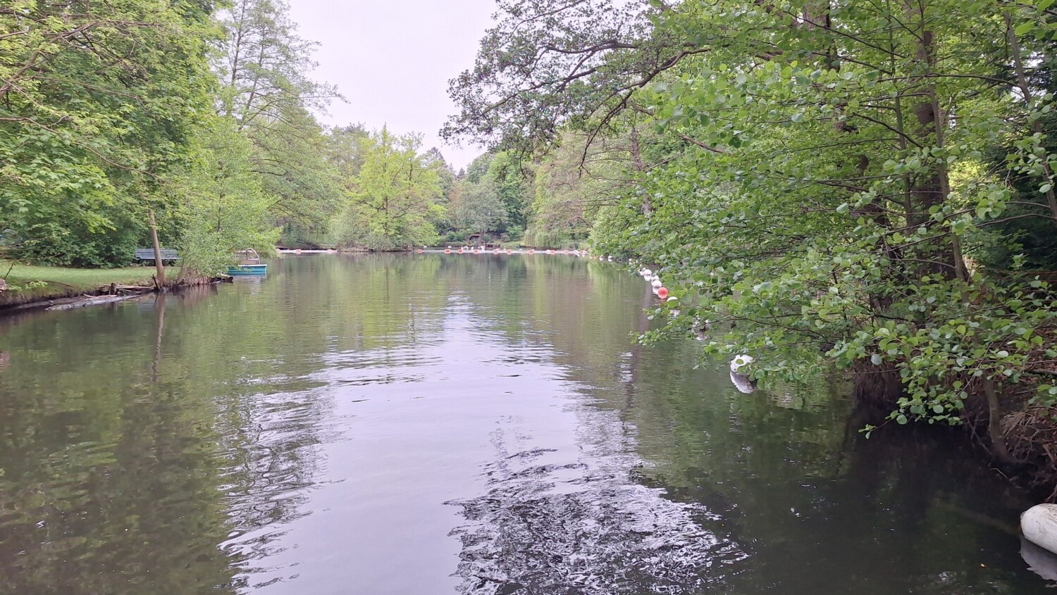 Waldsee-Entschlammung