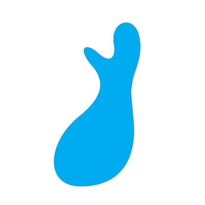 Finnland-Institut