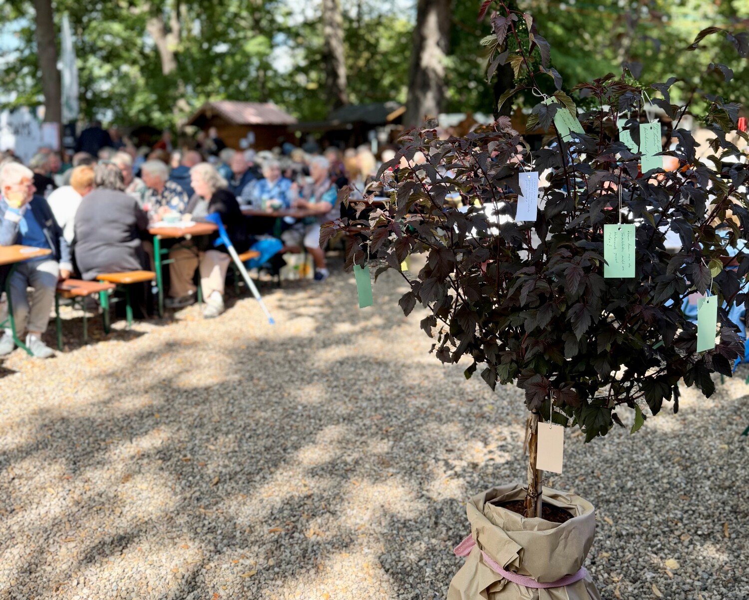 Der Höhepunkt der Veranstaltung: "Der Baum der Wünsche"