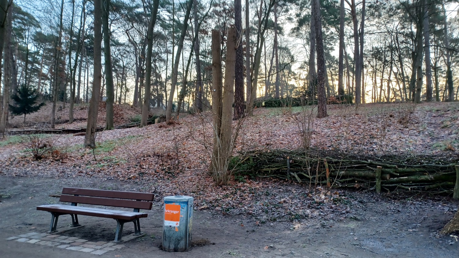 Eindrücke klimasensibler Umbau der Waldparkanlagen an der Krumme Lanke und dem Schlachtensee