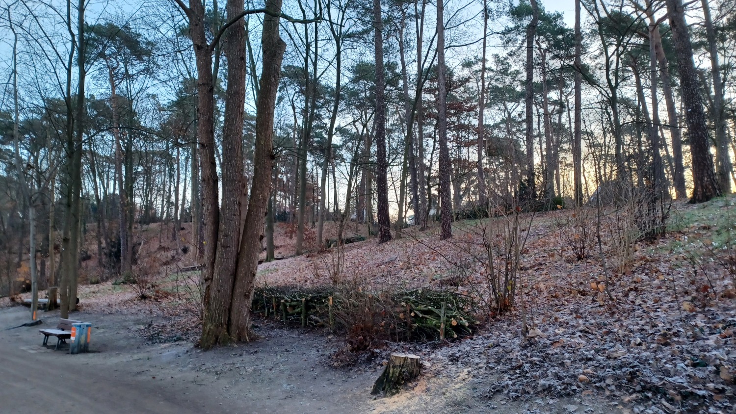 Eindrücke klimasensibler Umbau der Waldparkanlagen an der Krumme Lanke und dem Schlachtensee