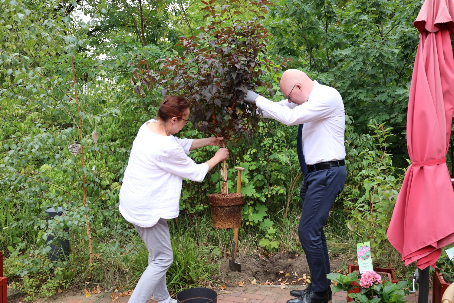 Tim-Richter-planzt-Baum-der-Wuensche