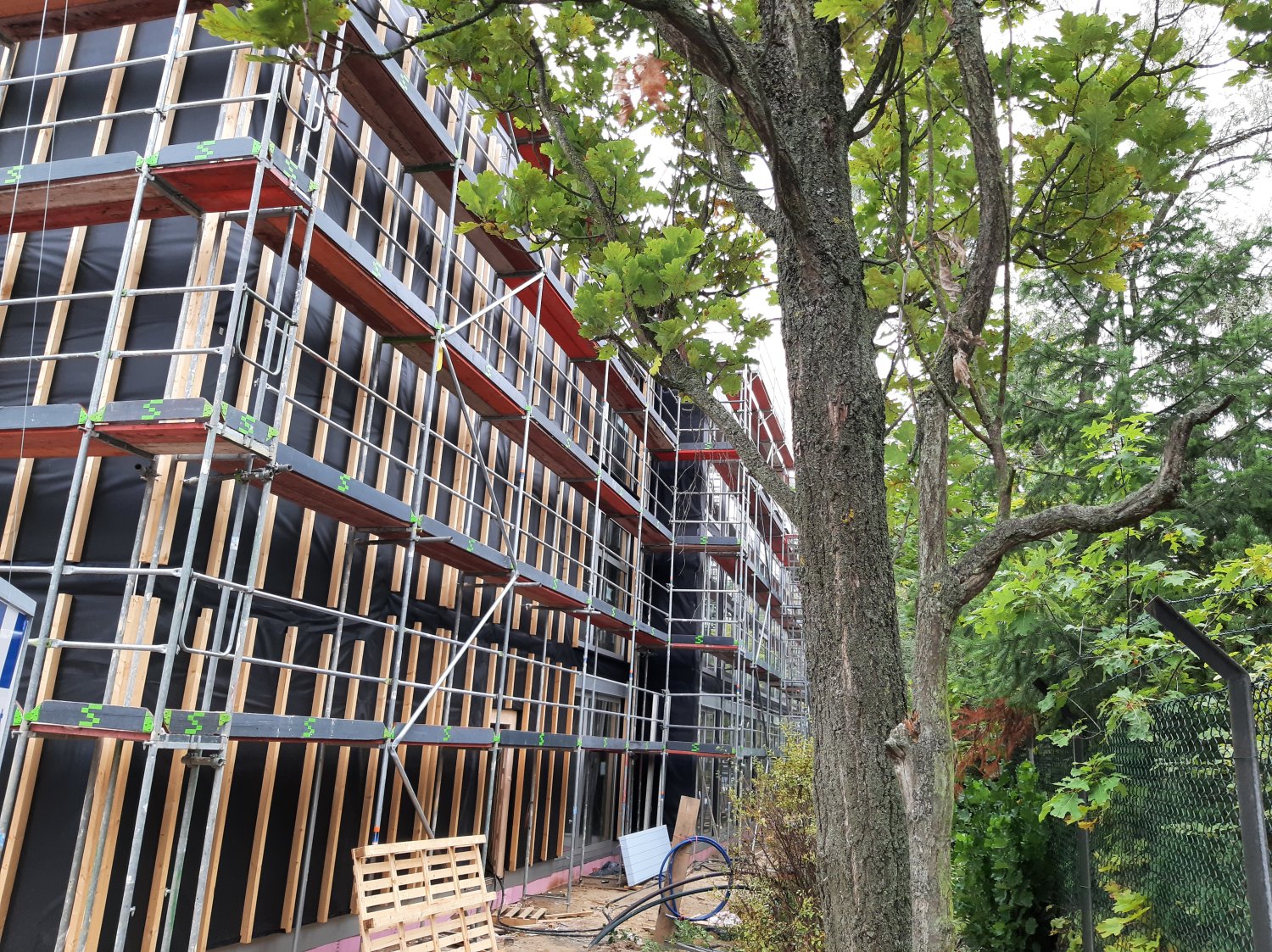 Grundschule am Königsgraben - Holz-MEB - Stand: 22.09.2021