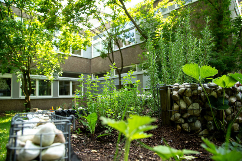 Garten der Mercator-Grundschule