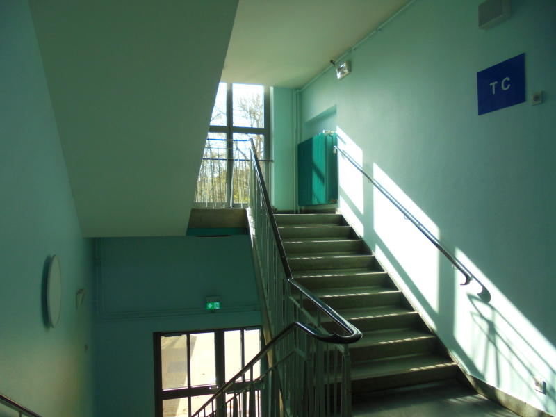 Sachsenwald-Grundschule