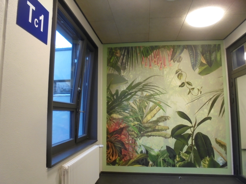 Kronach-Grundschule - Designtapete MUR - Stand: Dezember 2020