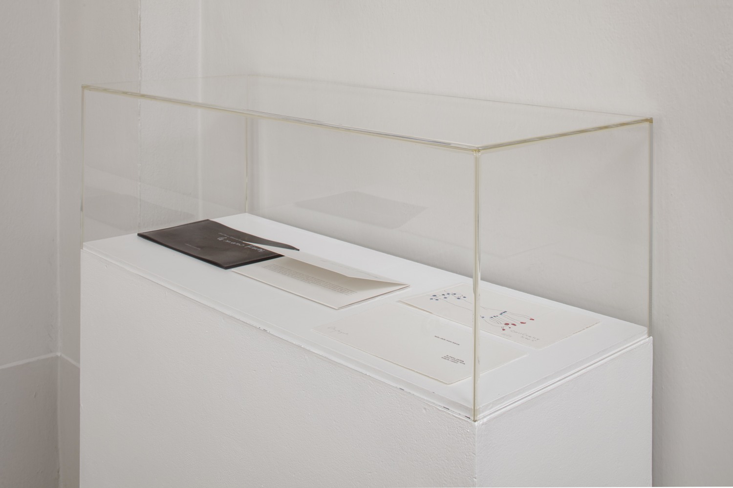 Carol Rama Ausstellungsansicht