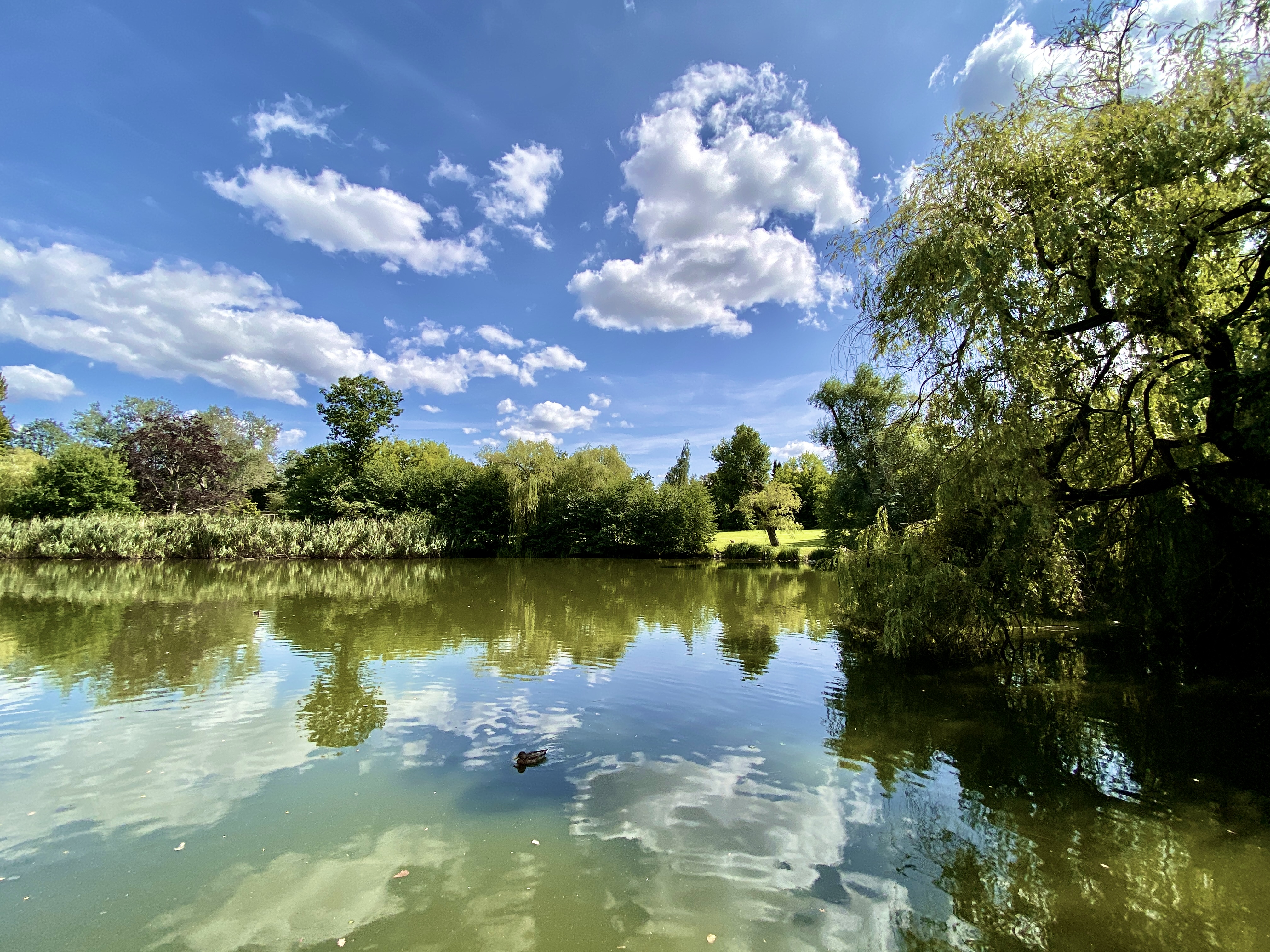 Dreipfuhlpark