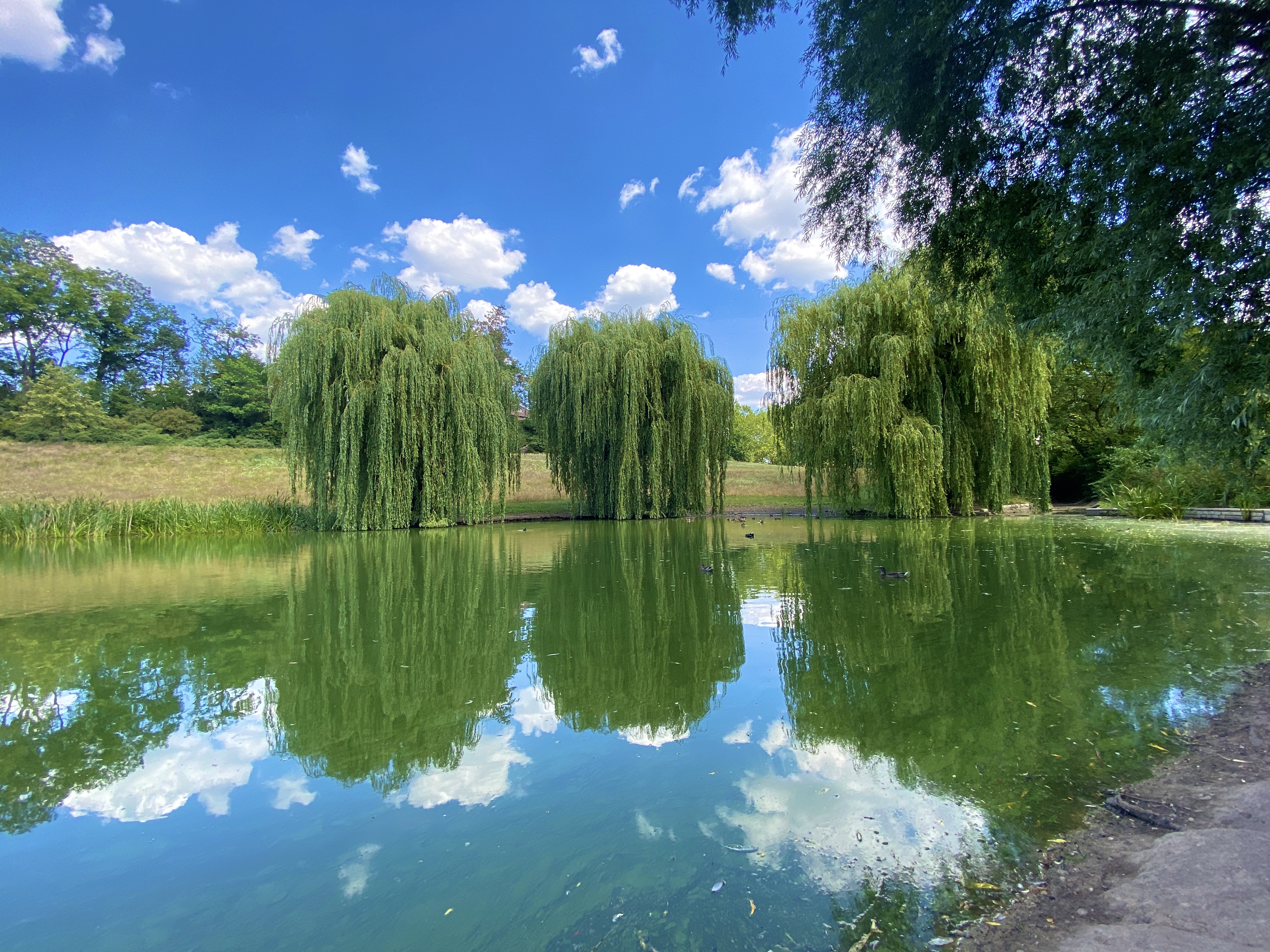 Thielpark