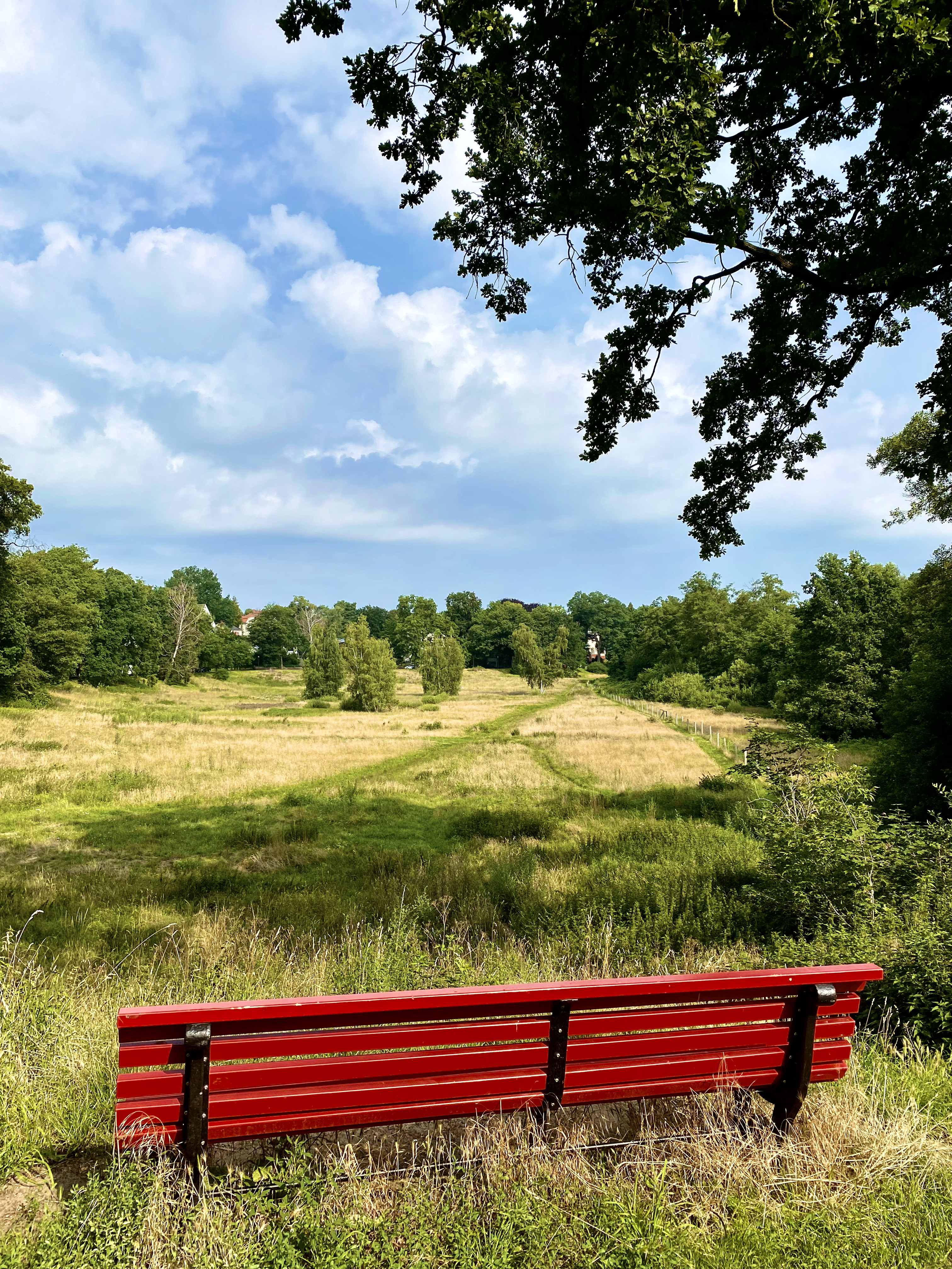 Blick auf die Rehwiese in Nikolassee