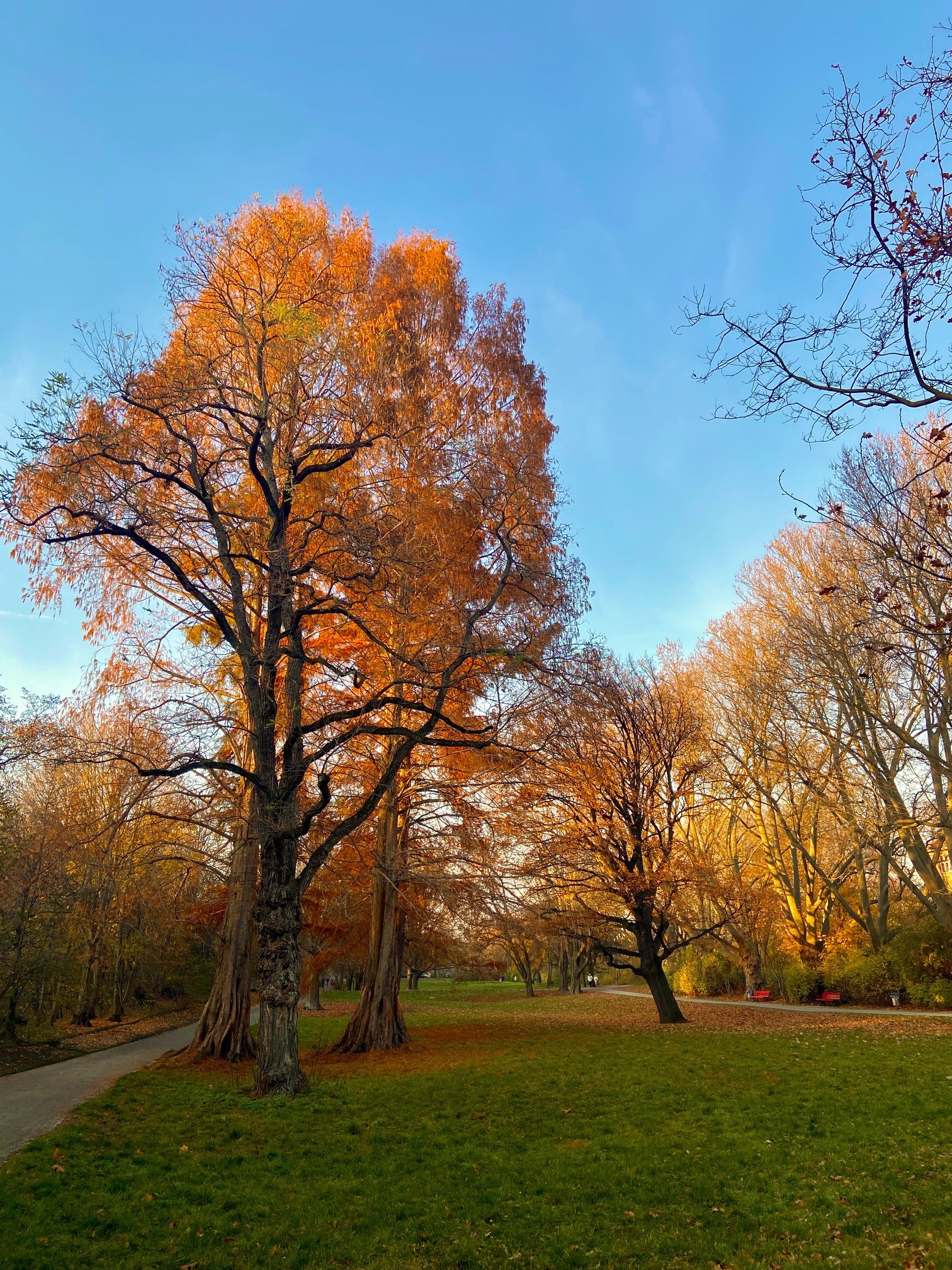 Bäkepark im Herbst
