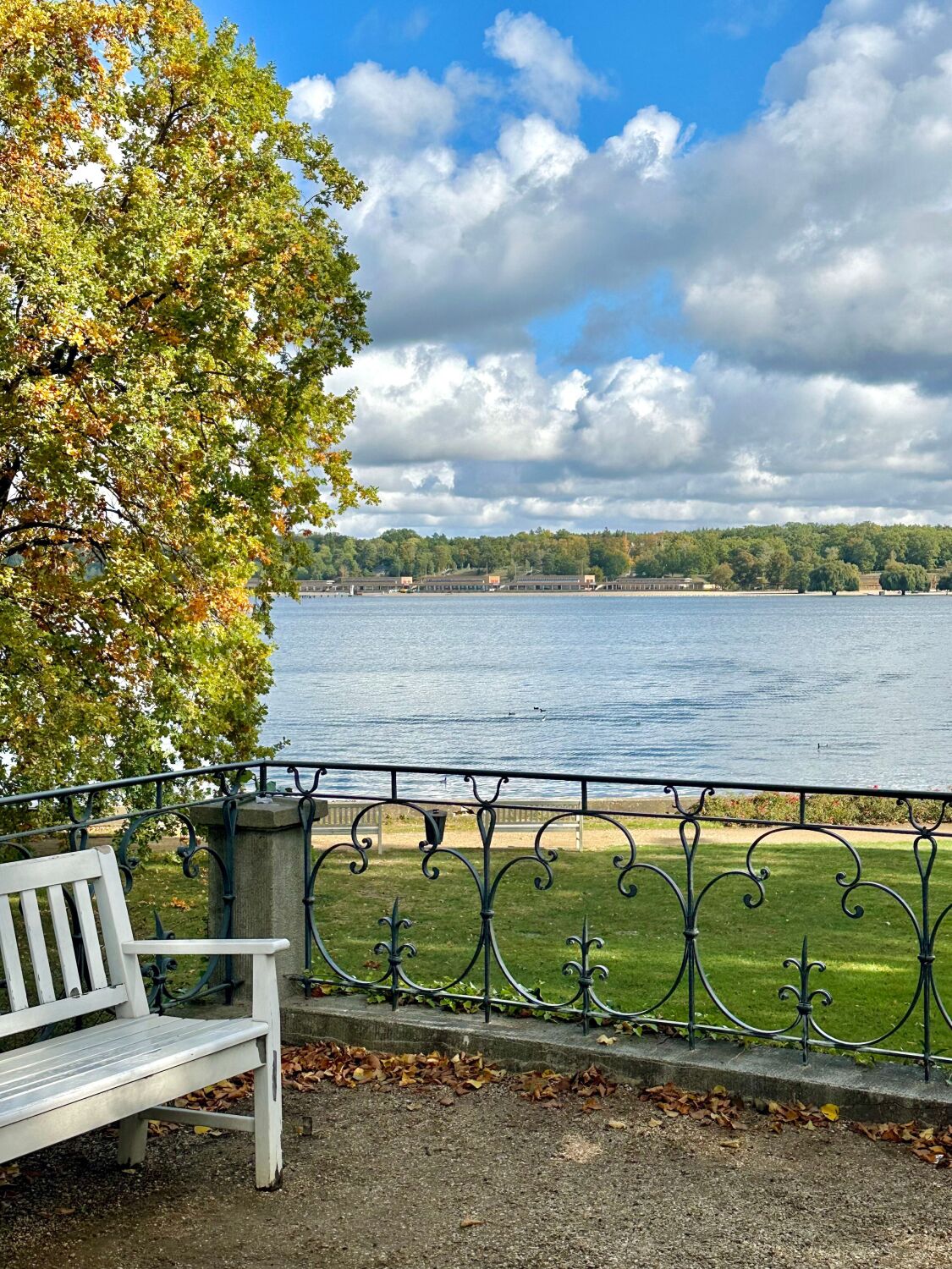 Teil einer Sitzbank mit Blick auf den Wannsee im Hintergrund sowie dem Strandbad Wannsee am anderen Ufer