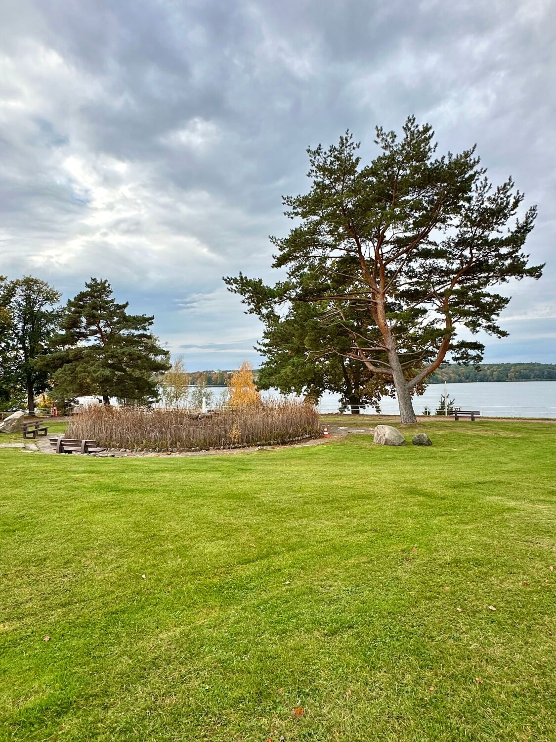 Grüne Wiese des Strandbads mit dem Wannsee im Hintergrund