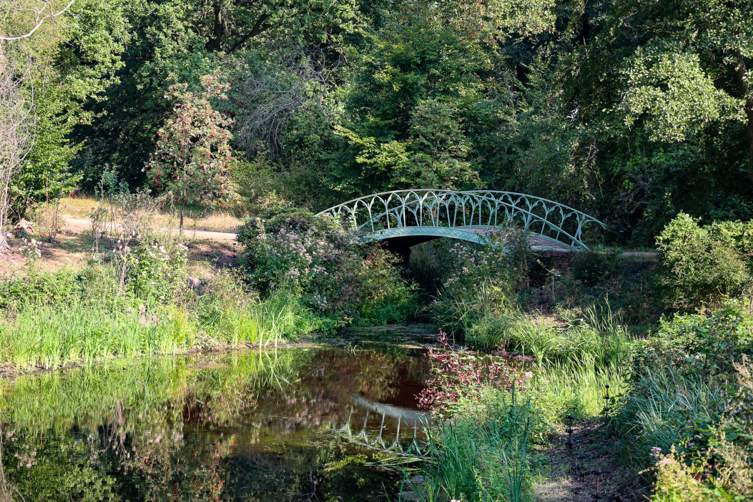 Brücke über kleinem Teich nahe des Beelitzer Jagdschirm