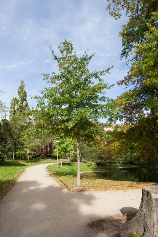 Lauenburger Platz 4
