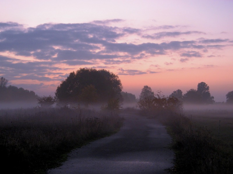 Abendlicher Nebel im geplanten Schutzgebiet