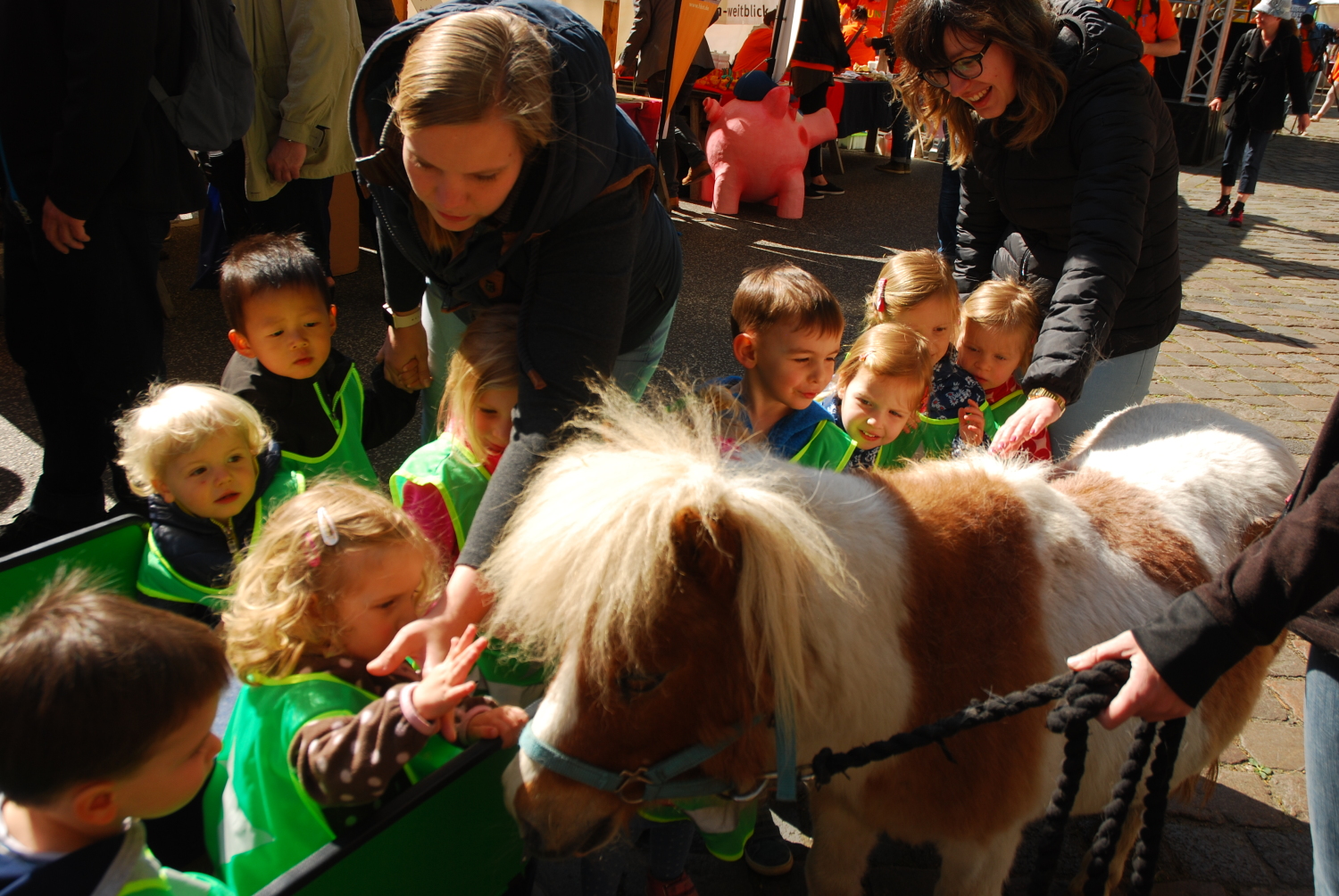 kleine Besucher