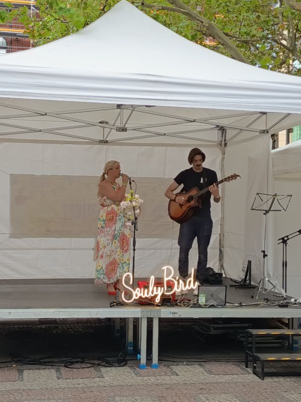 Band The Souly Bird