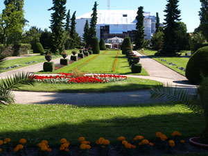 Pflanzen vor dem Tropenhaus im Botanischen Garten