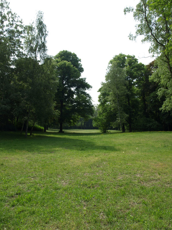 Weitläufiges Grün im Heinrich-Laehr-Park.