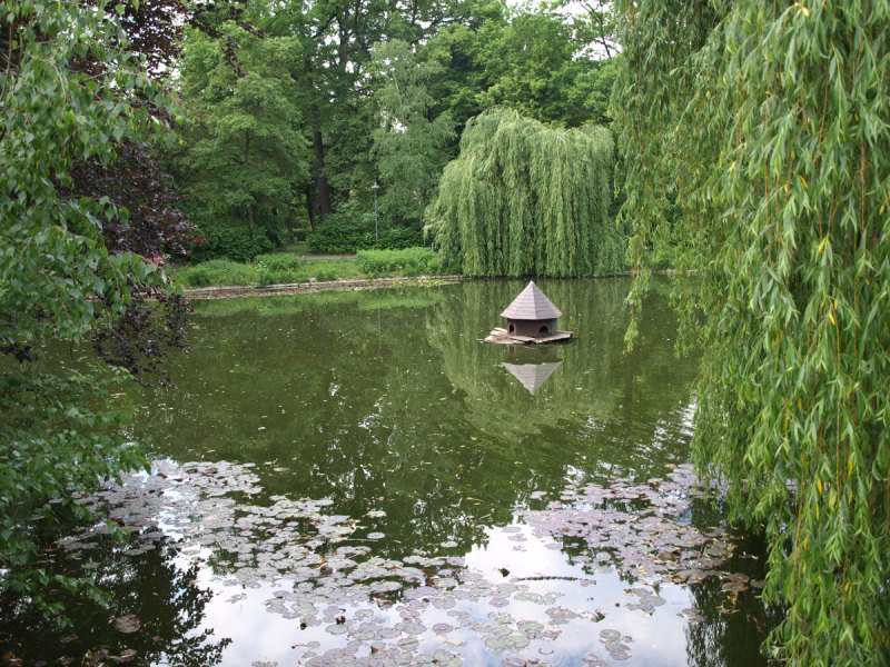 Blick auf den Teich, rundherum Trauerweiden. Ein Platz, der zum Entspannen einlädt.