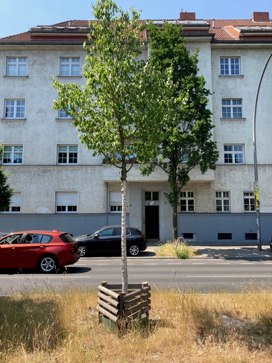 Ein Jungbaum ist nahe der Wurzeln mit Holzpfählen umgeben.